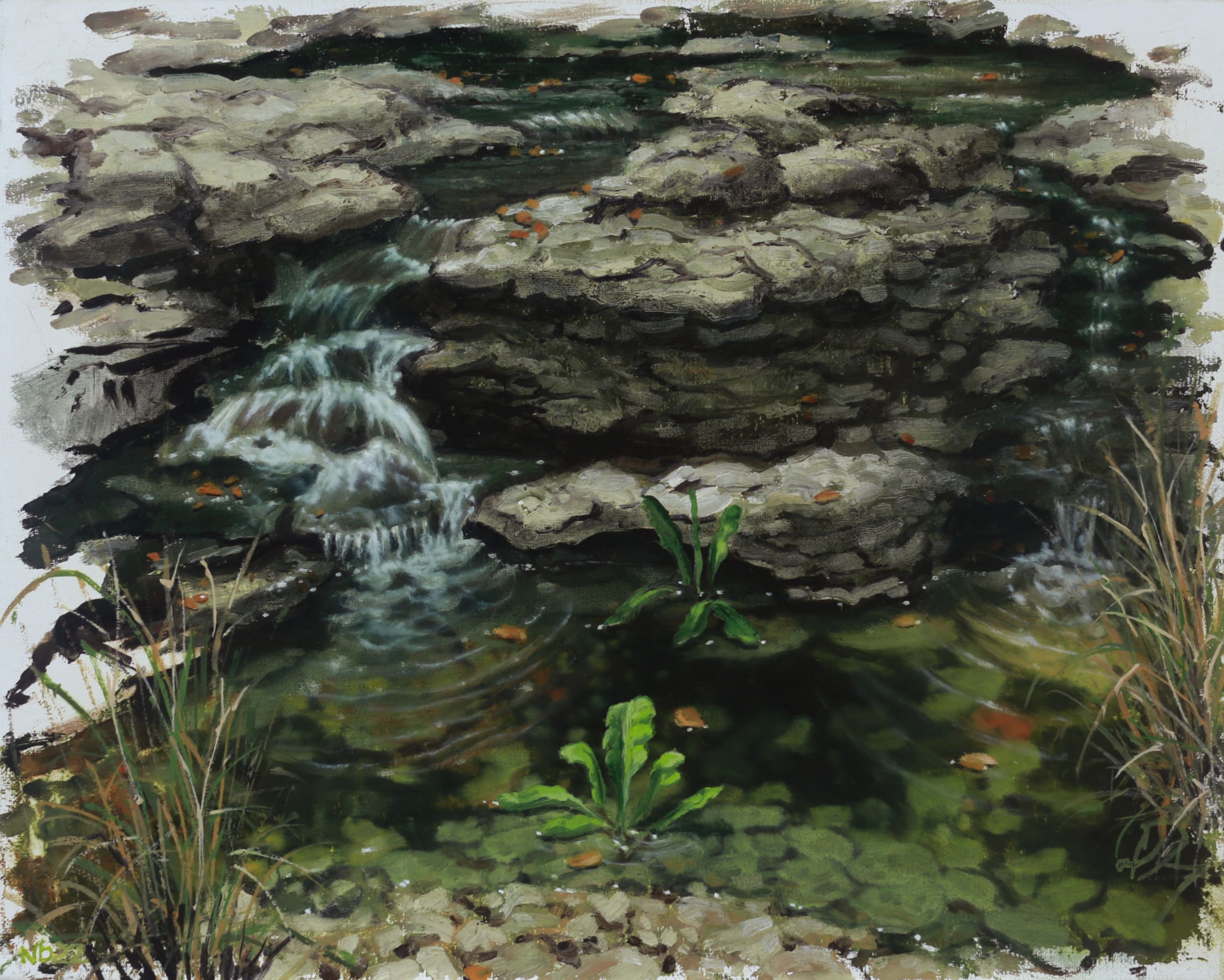 Dark green creek water cascades over layered gray rocks, framed by grasses and bright green plants in loosely brushed paint.