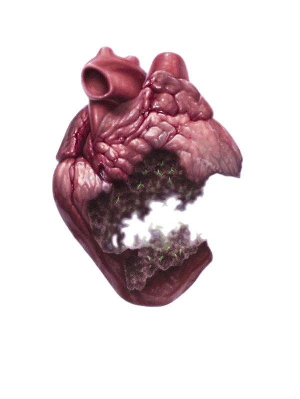 An anatomical heart with a hollowed center containing dark soil and tiny green sprouts, isolated against white.