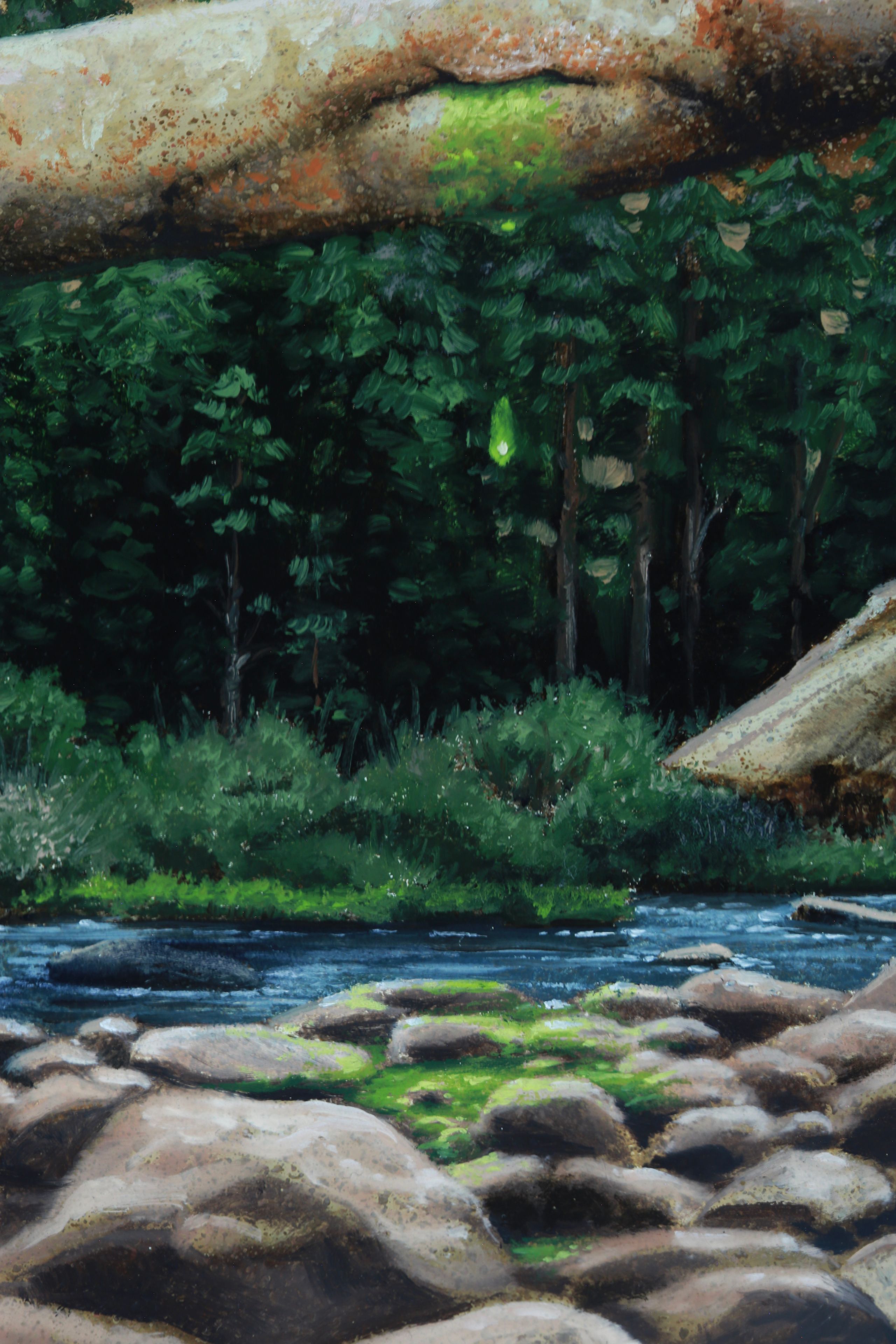 A wide forest landscape with dense dark-green trees, bright foliage, a blue stream, and pale rounded rocks in the foreground.