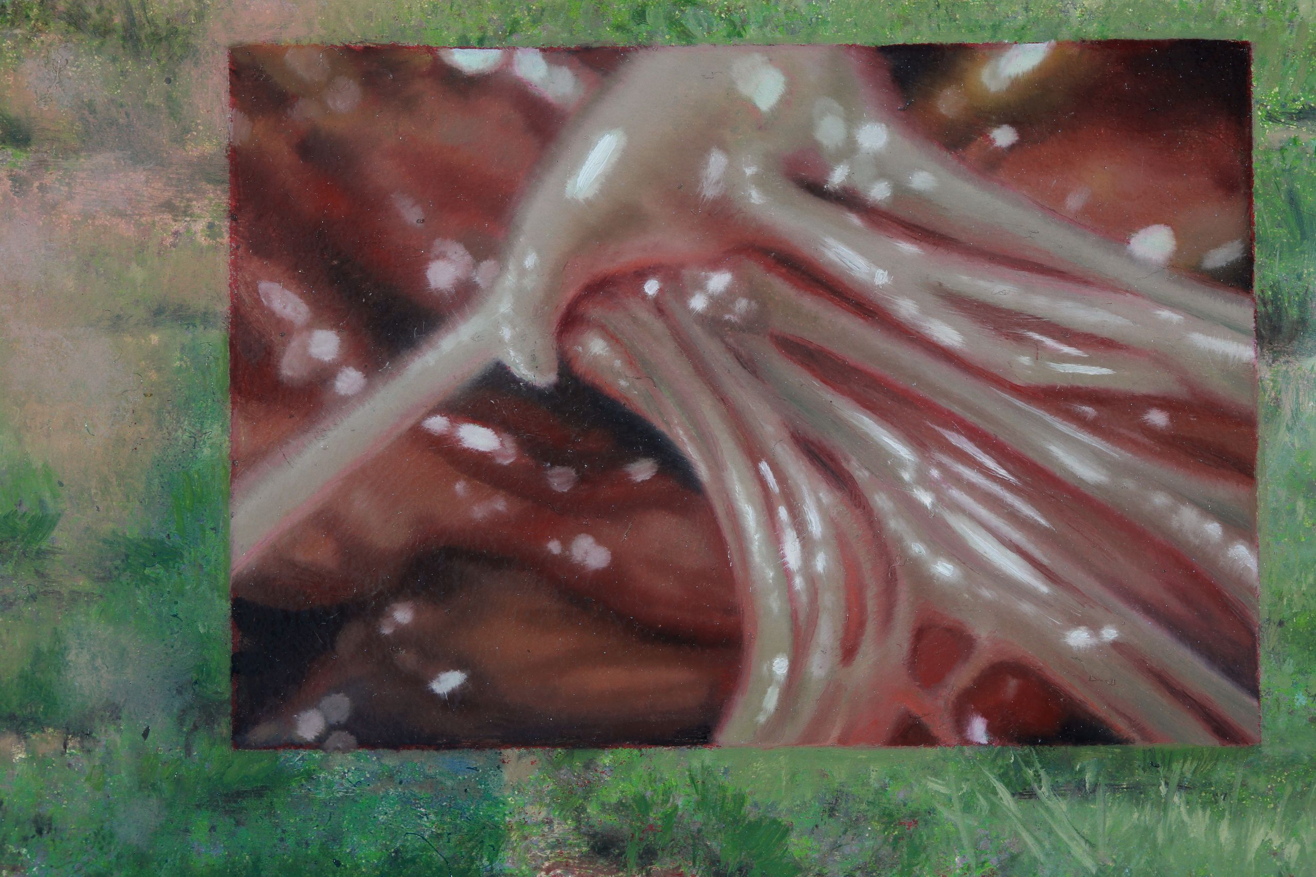 Pale branching, root-like fleshy forms spread across a red-brown field dotted with white flecks, surrounded by a mottled green border.