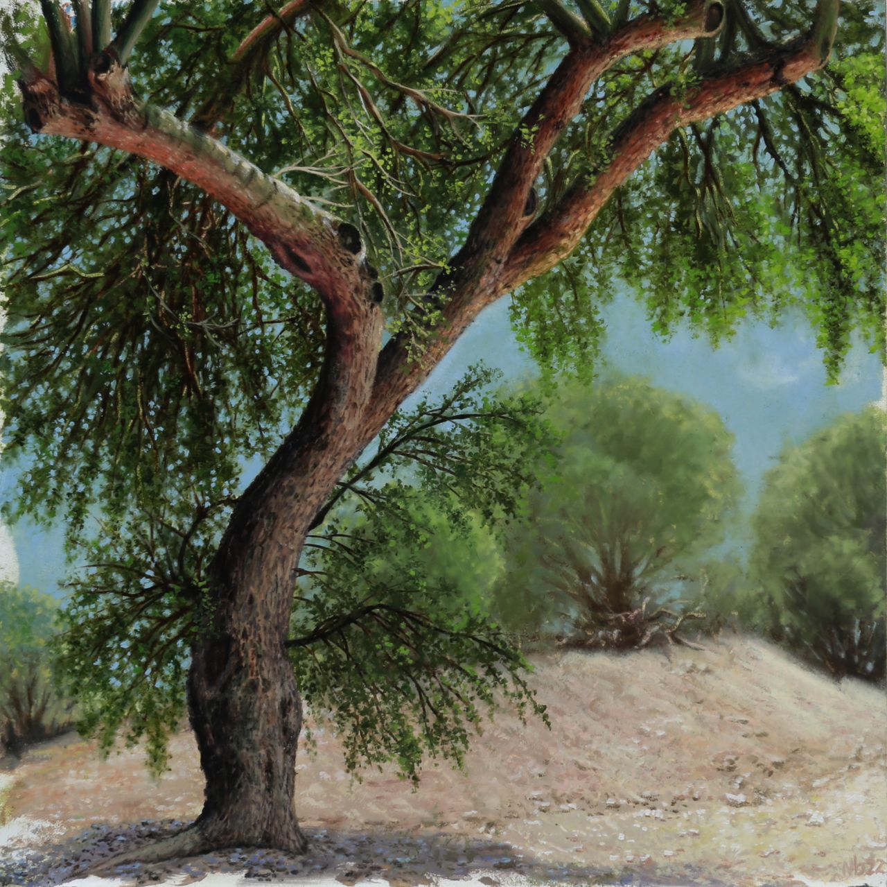A large, gnarled tree with spreading reddish-brown branches and dense green foliage stands against blue sky and pale earth.