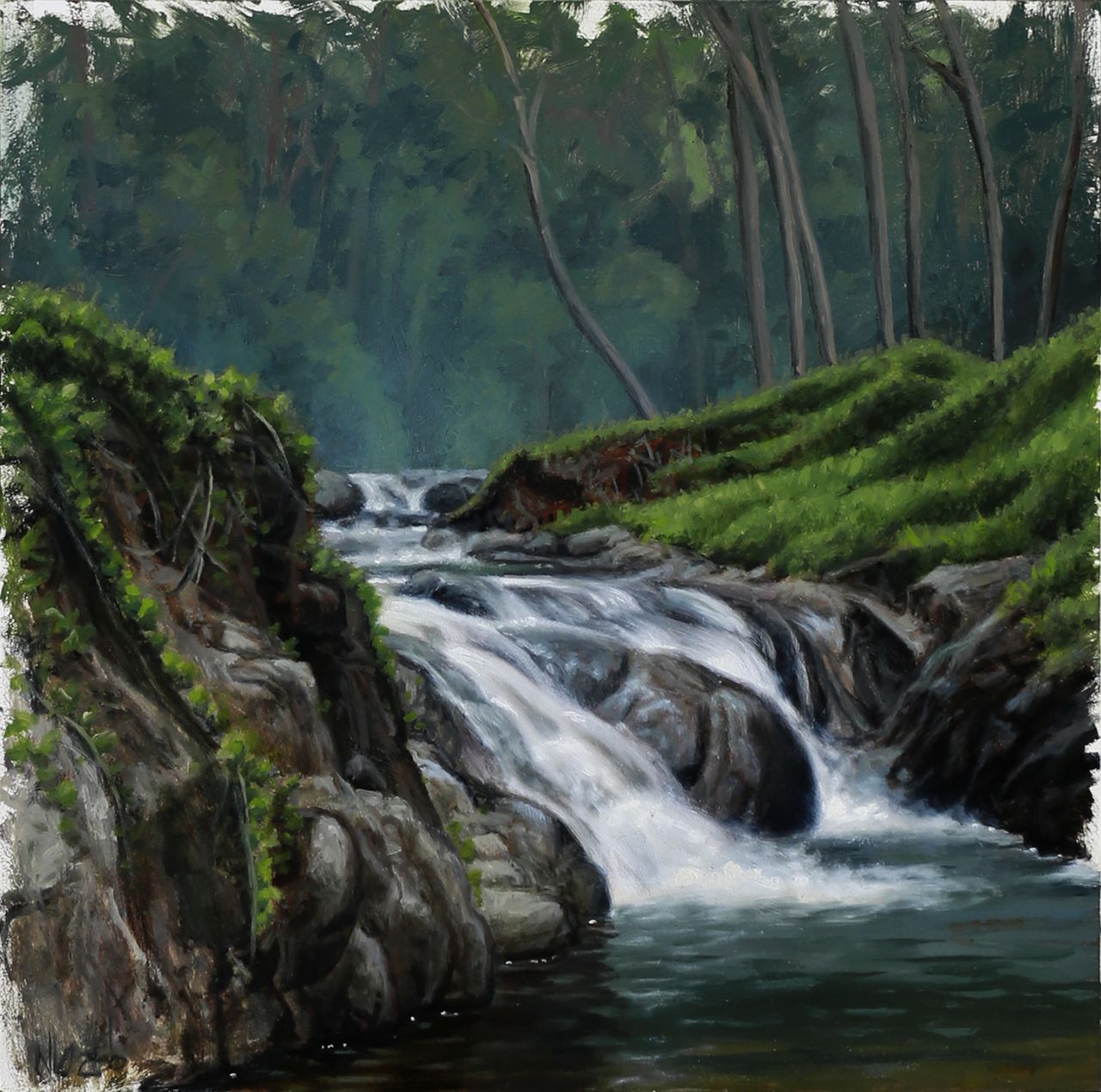 White water cascades over dark rocks into a blue-green pool, surrounded by vivid mossy banks and dense forest.