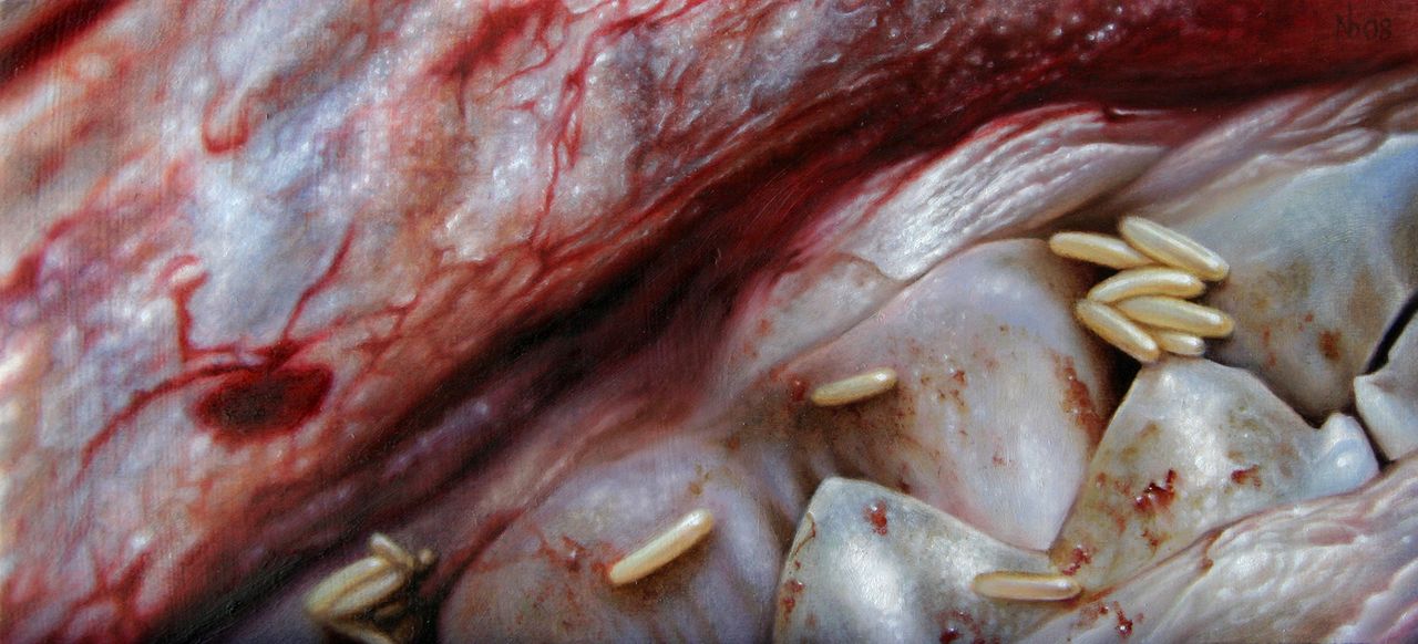 Close-up painting of red-veined flesh and animal teeth scattered with cream-colored maggots.