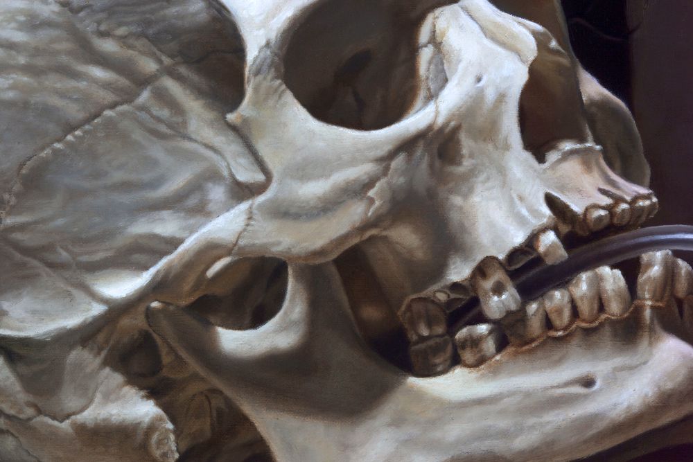 Close-up painting of an angled human skull in muted browns and whites, its teeth gripping a curved dark tube.