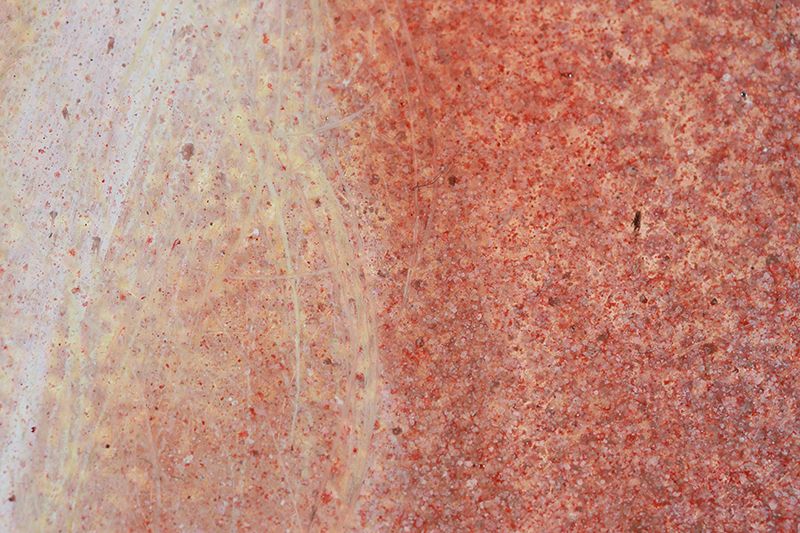 Close detail of an abstract mottled surface, with pale cream looping lines against densely speckled coral, red, pink, and gray.