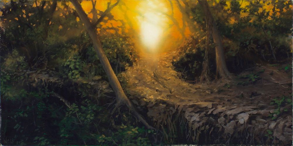 A narrow woodland path leads toward glowing golden sunlight, framed by dark green foliage, exposed roots, and leaning tree trunks.