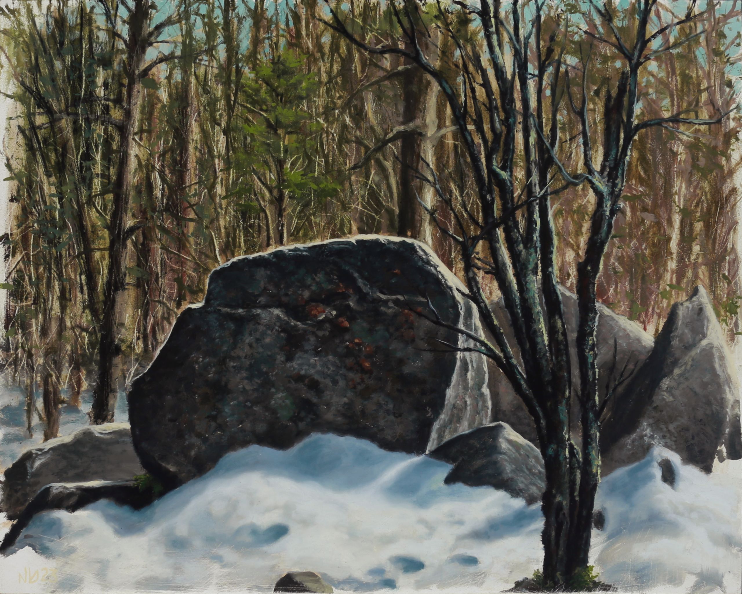 Snow-covered granite boulders and dark, twisting tree trunks fill a dense winter forest beneath patches of pale blue sky.