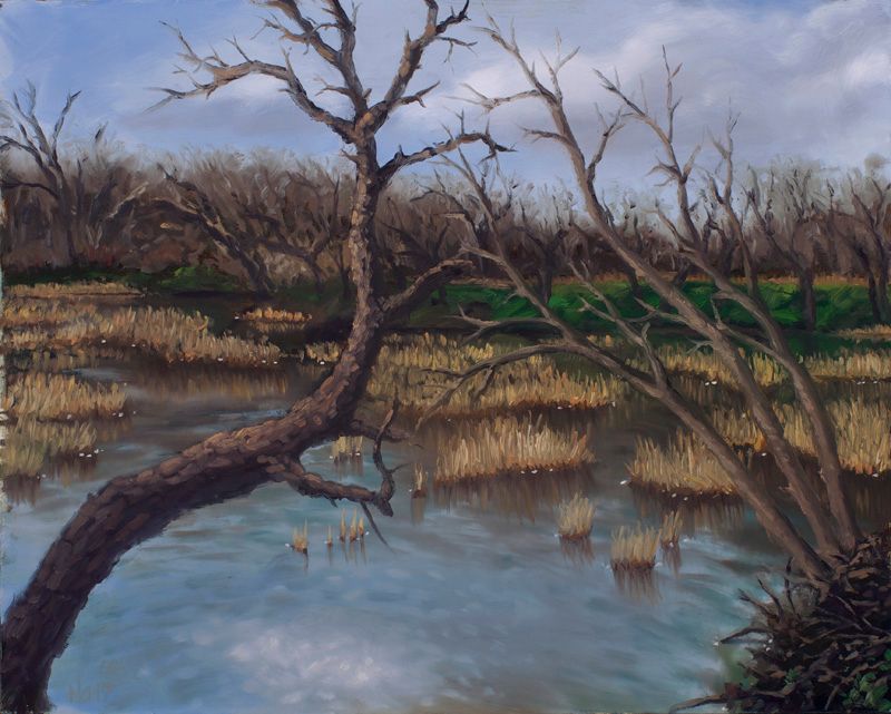 Winter marsh landscape with bare trees arching over blue water, golden reed clusters, dark brush, and patches of green vegetation.
