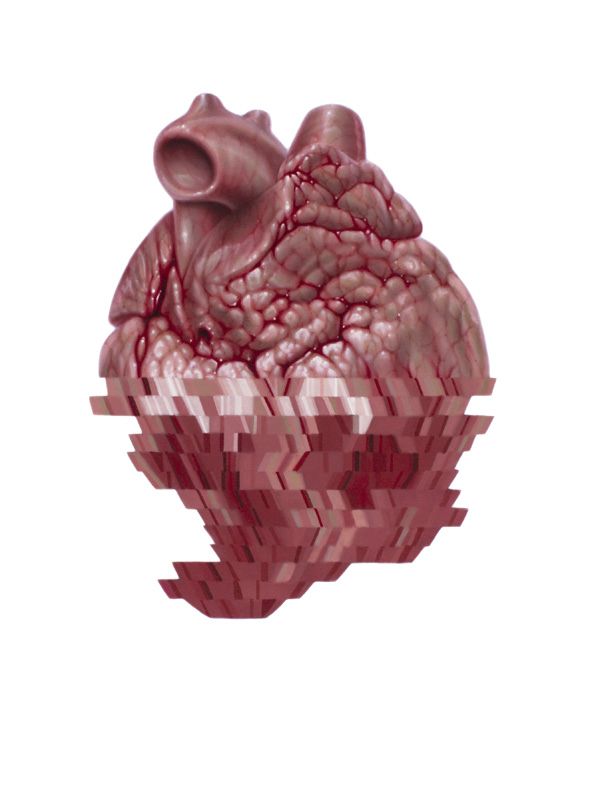 An anatomical heart floats against white, its detailed pink upper half dissolving into horizontal, pixelated burgundy fragments below.