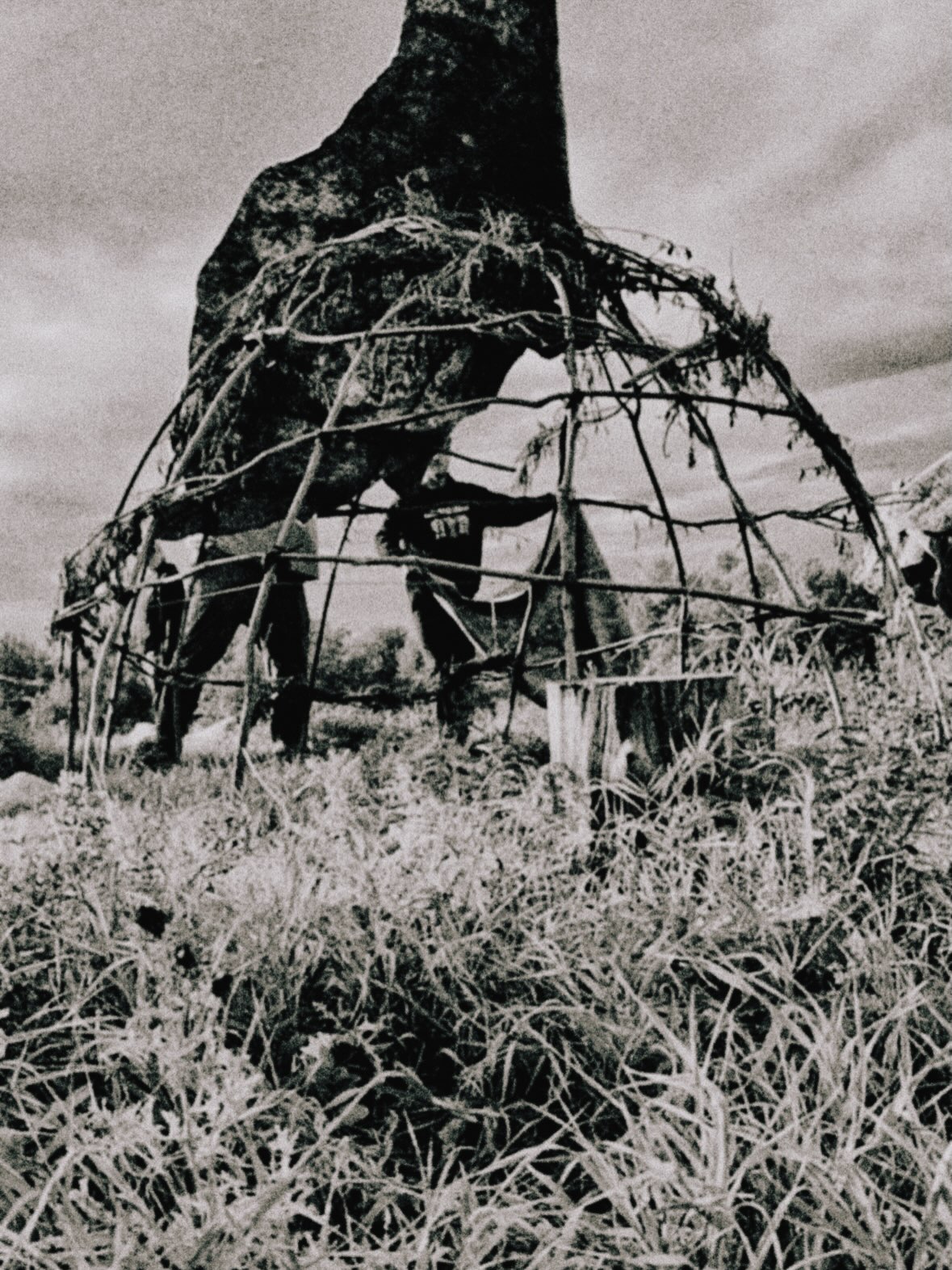 North Dakota, part 2

build  sing
create  pray
burn  suffer

renewed in the warmth of the earth
