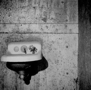 Journal image