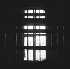 Journal image