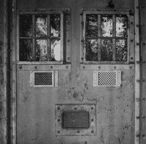 Journal image