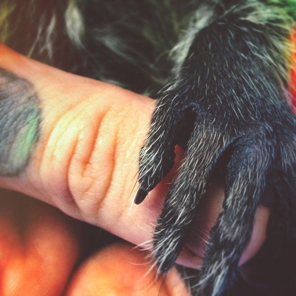 Edited reference photo from my Instagram account.