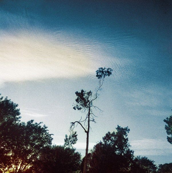 Journal image