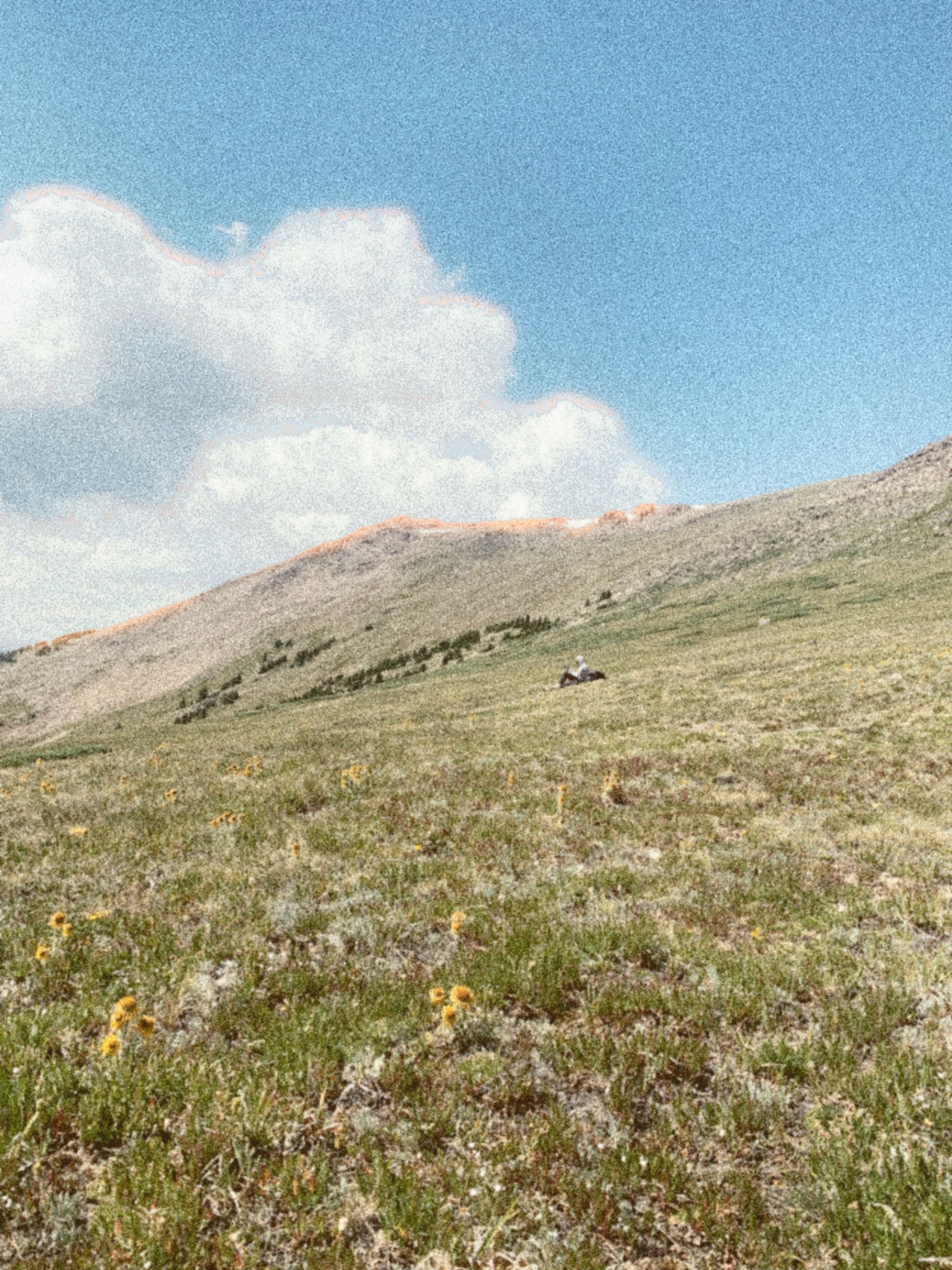 Journal image