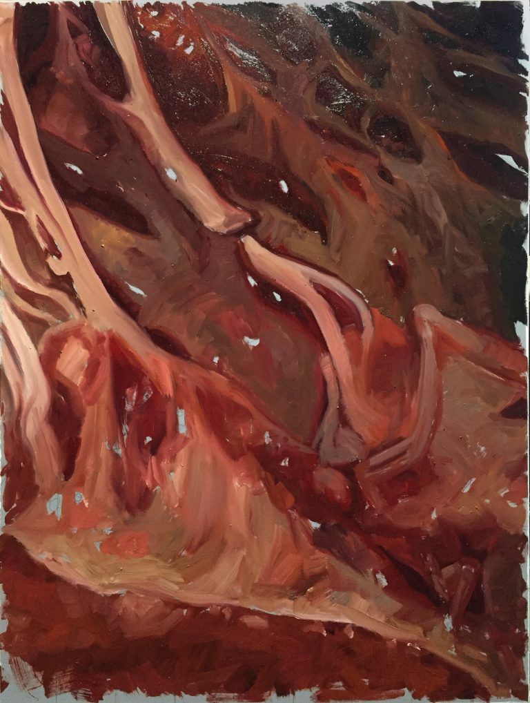 Journal image