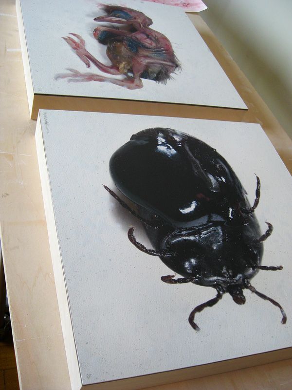 Mounted up and varnished, drying.