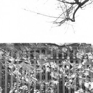 Journal image
