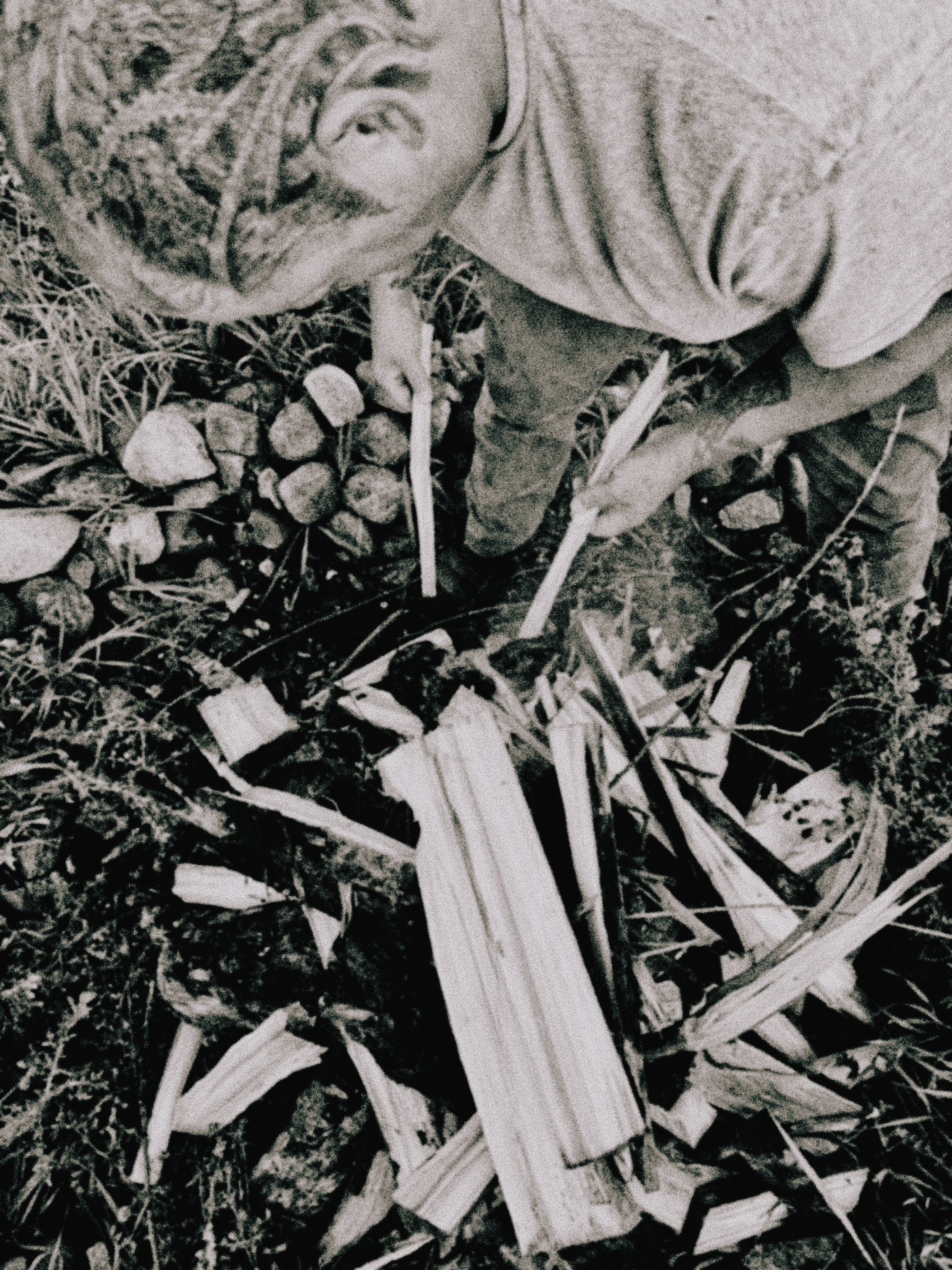 Journal image