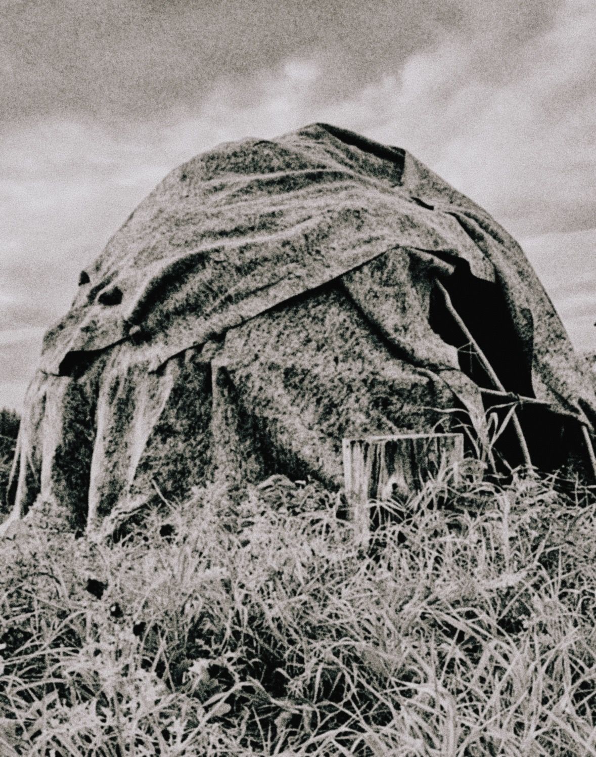 Journal image