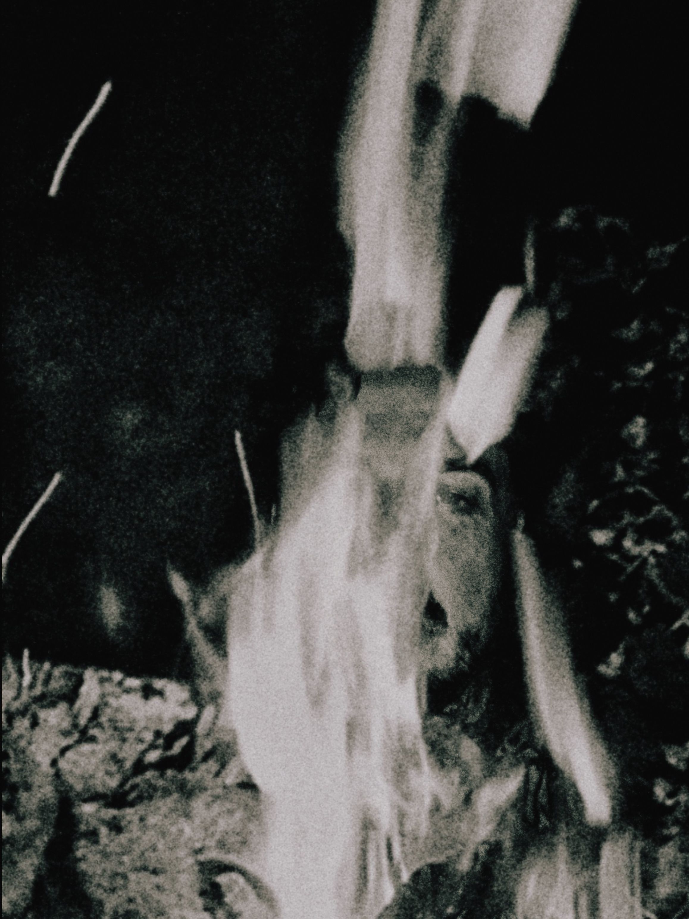 Journal image