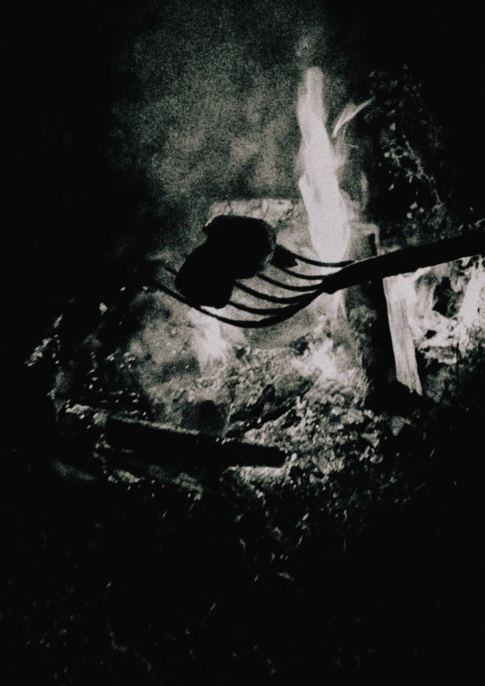 Journal image