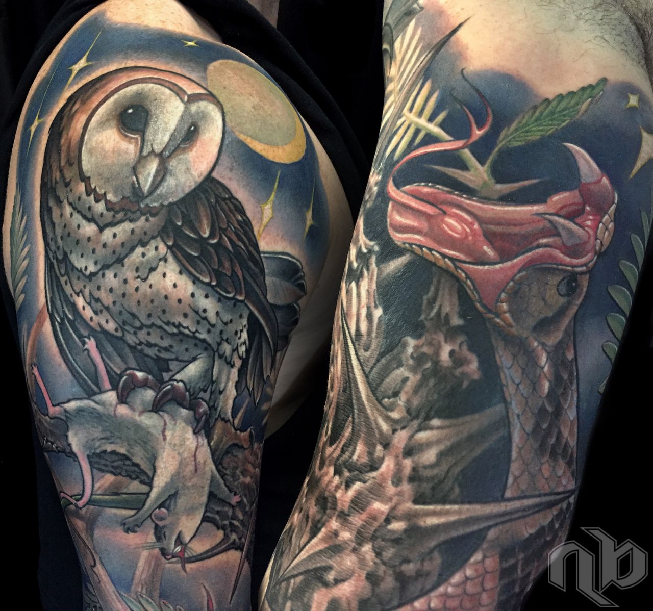 color tattoo of texas owl eating a rodent and texas rattlesnake attacking nature sleeve by nick baxter in austin texas