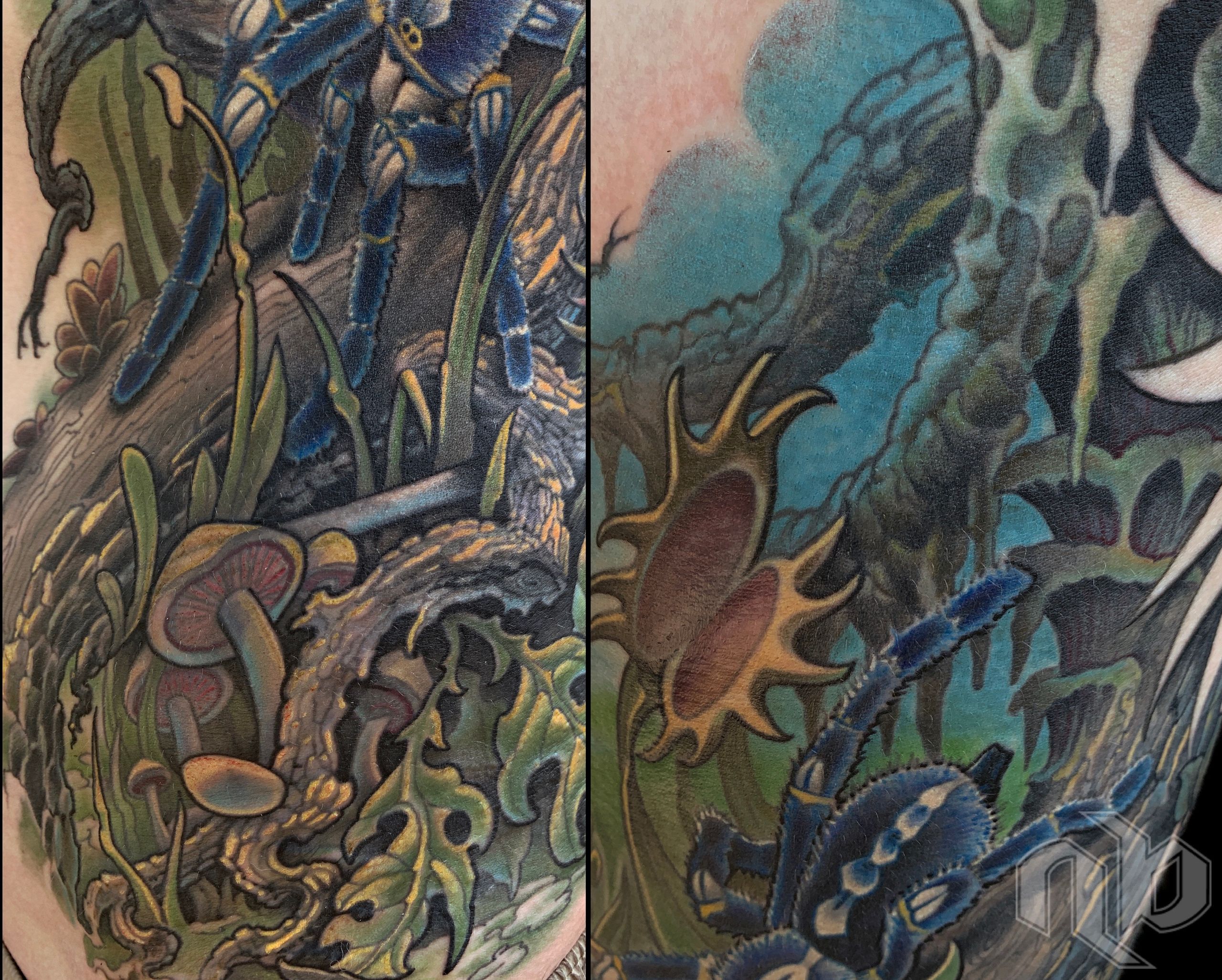 Split close-up of a large rib tattoo showing a blue tarantula among green foliage, mushrooms, branches, and turquoise shadows.