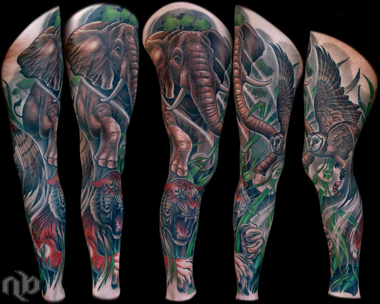 Illustrative color wild animal tiger elephant owl and nature tattoo by nick Baxter in Austin Texas
