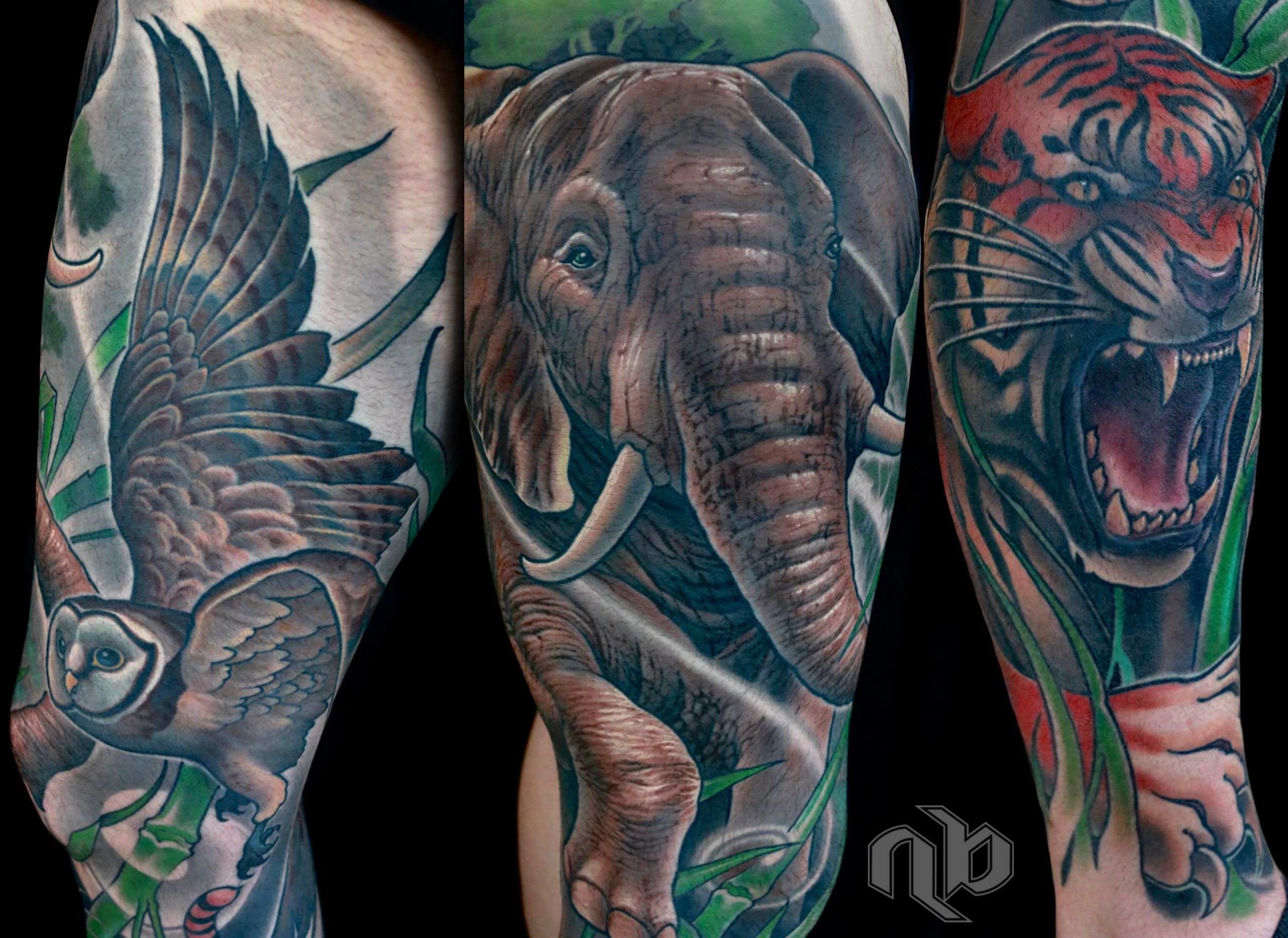 Illustrative color wild animal tiger elephant owl and nature tattoo by nick Baxter in Austin Texas